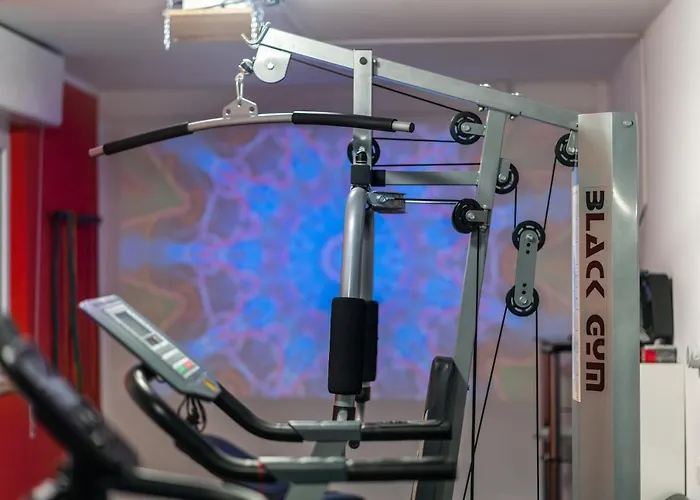 מלון Viscount ריצ'יונה